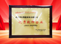 喜讯丨QY千亿球友会QY数据获评2024~2025年度武汉市软件行业&ldquo;优秀企业&rdquo;、&ldquo;优秀工作者&rdquo;荣誉称号！